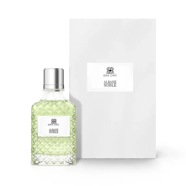 ALBANE NOBLE GRIS CHIC - Image 2